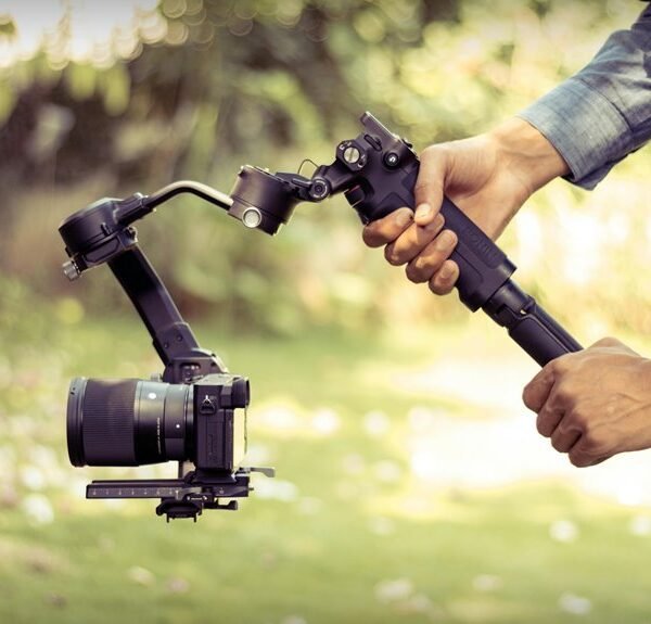 stability through professional framework