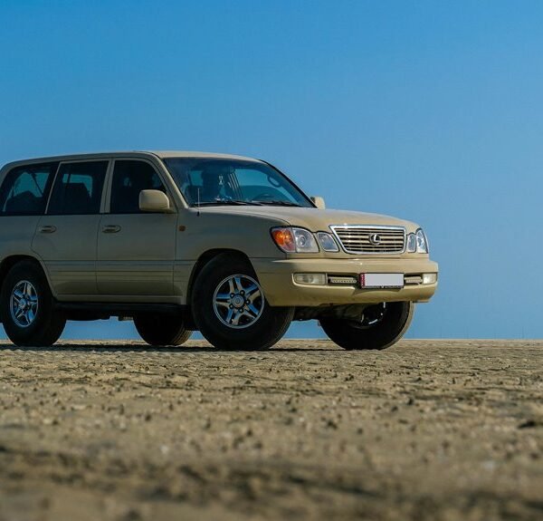 stable online model 617525770