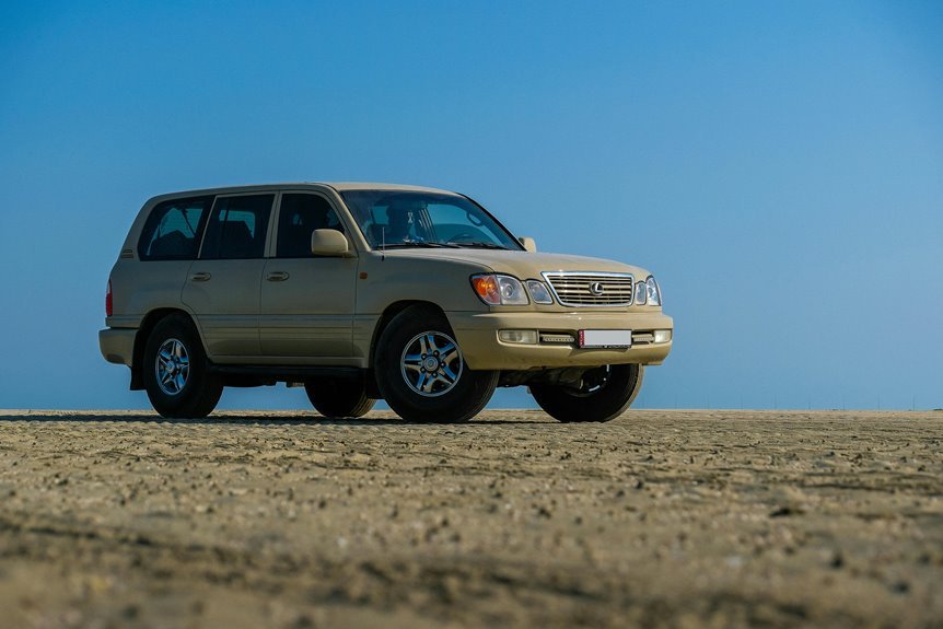 stable online model 617525770